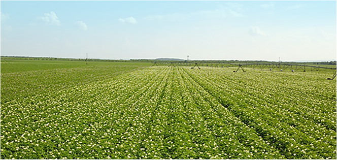 AG刮刮乐·(中国区)有限公司官网